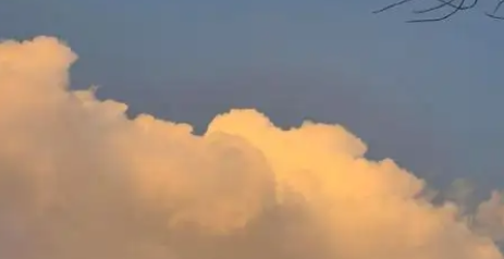 選購(gòu)的本質(zhì)是對(duì)品牌科研沉淀、生態(tài)敬畏與責(zé)任邊界的綜合審視