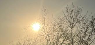 家庭除螨用什么效果好？幾大除螨噴霧劑推薦